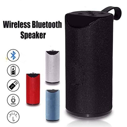 portable-wireless-speaker-tg-113